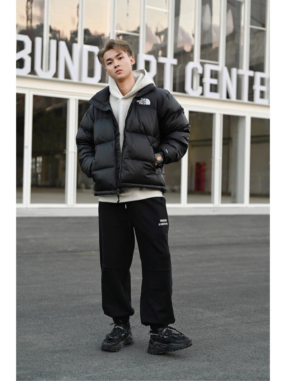  The North Face down jacket #T