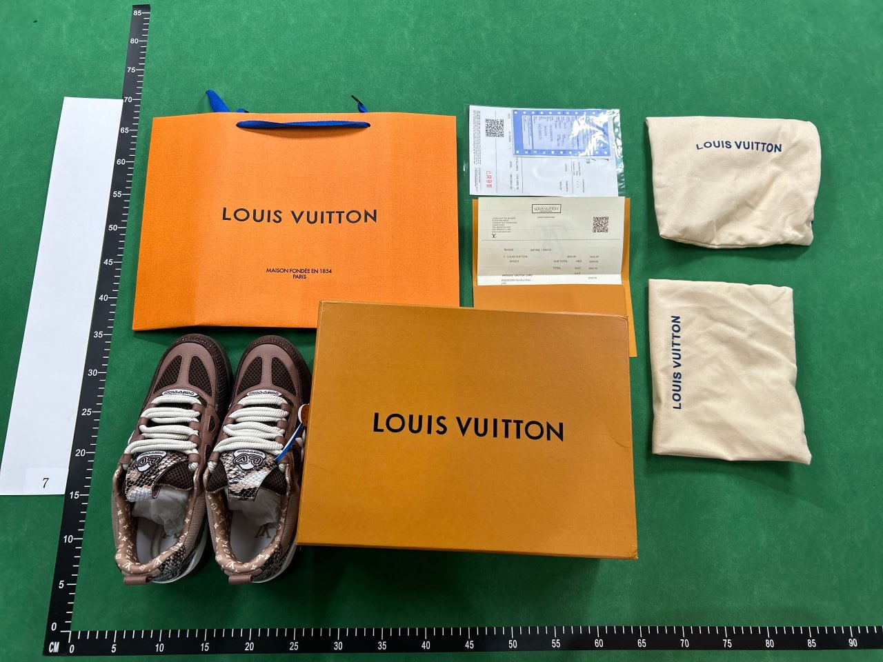 OUIS VUITTON SKATE -3