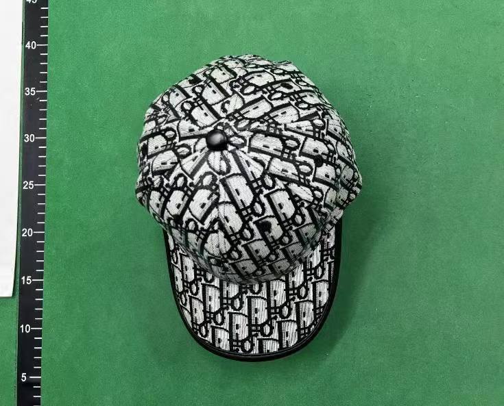  DIOR HAT -4