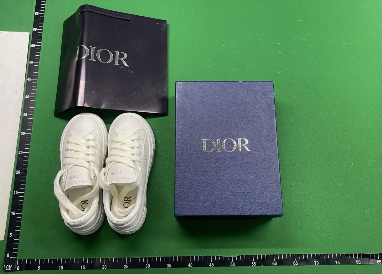 Dior B33 Shoes -4
