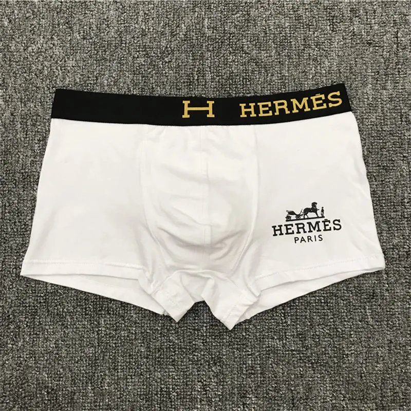 HERMES -2