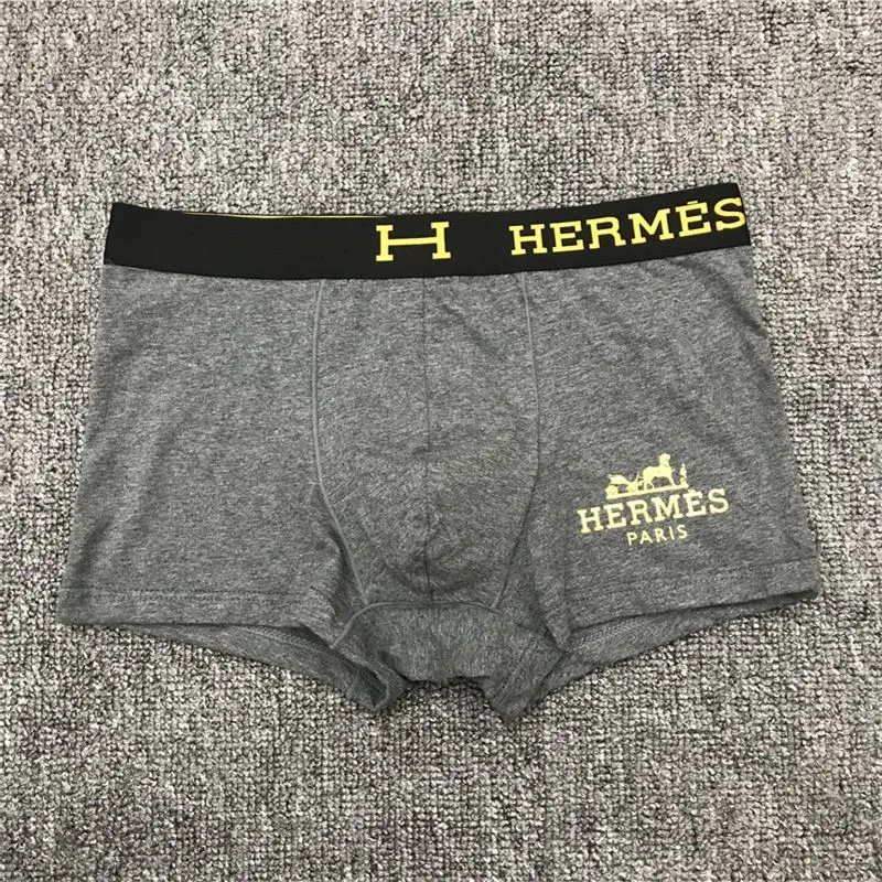 HERMES -3