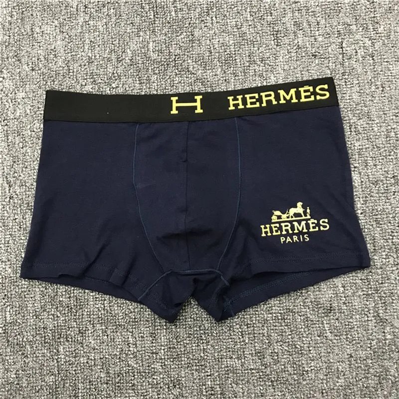 HERMES -4