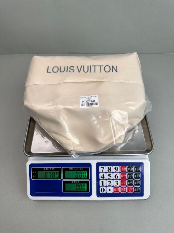 LV Bag -4