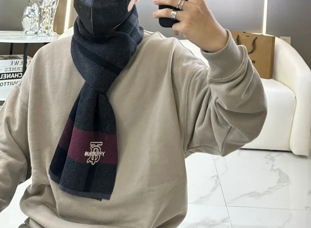 LV Louis Vuitton Burberry scarf (33 styles) -4