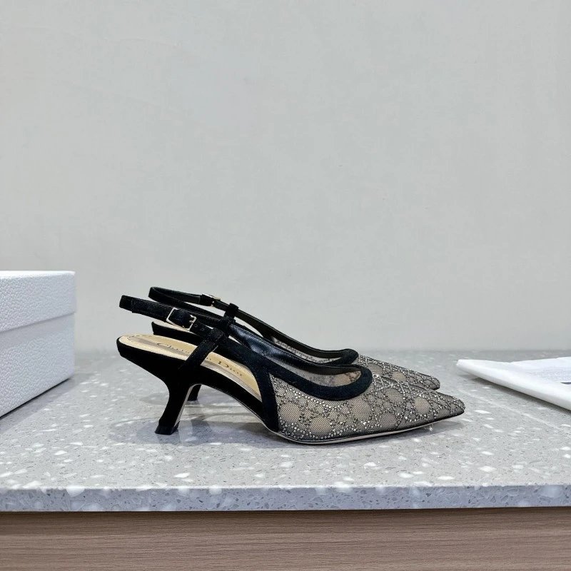 DIOR CAPTURE -4