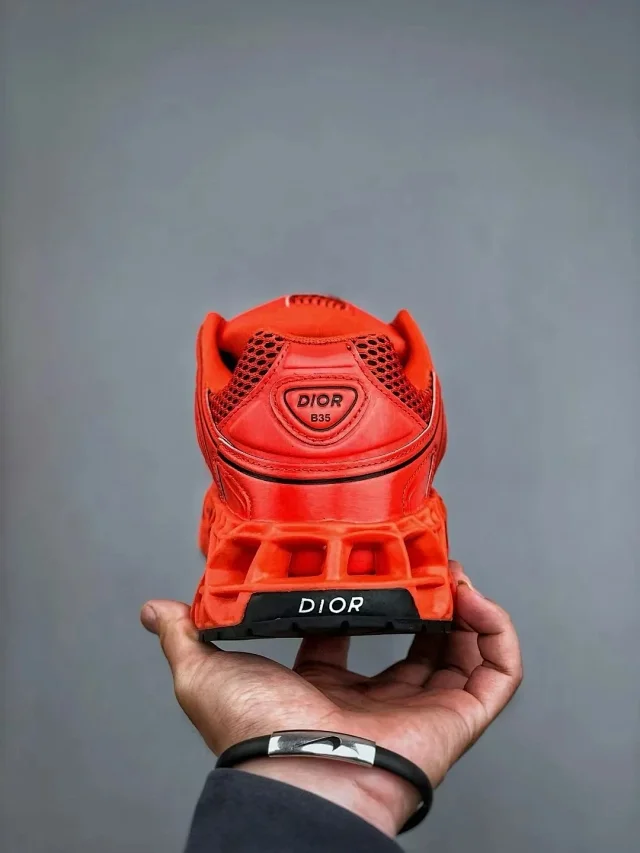 DIOR  B35