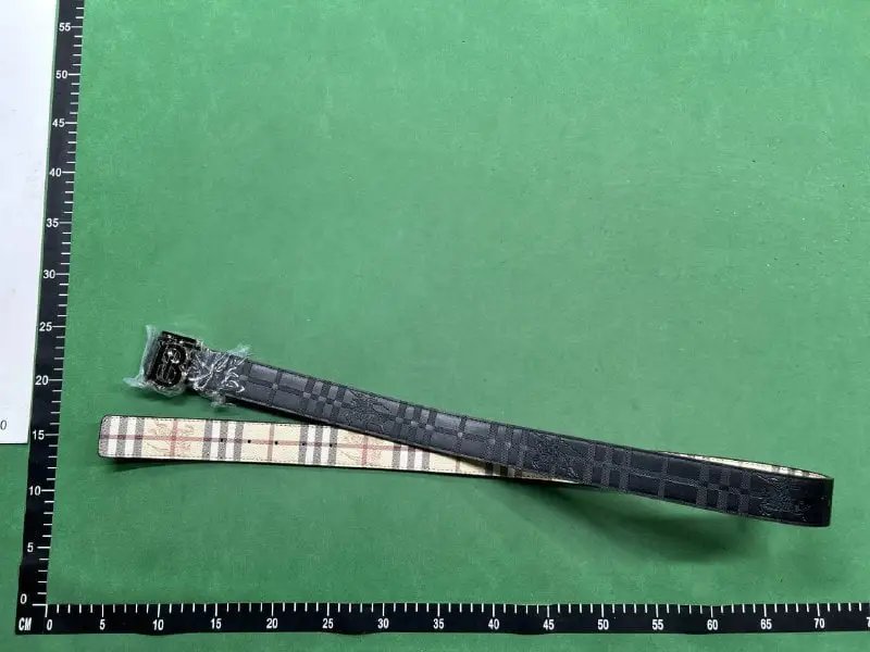 Burberry Belt（15+ Styles） -4