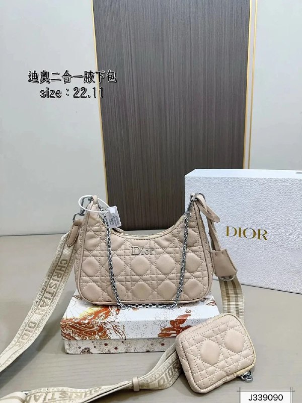 Dior bags -3