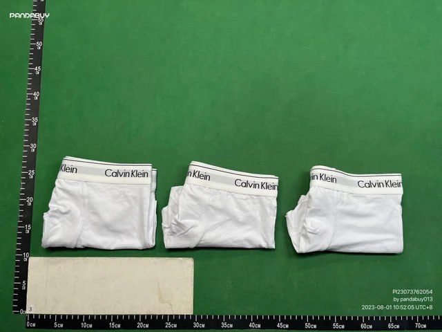 CK Underwear -2