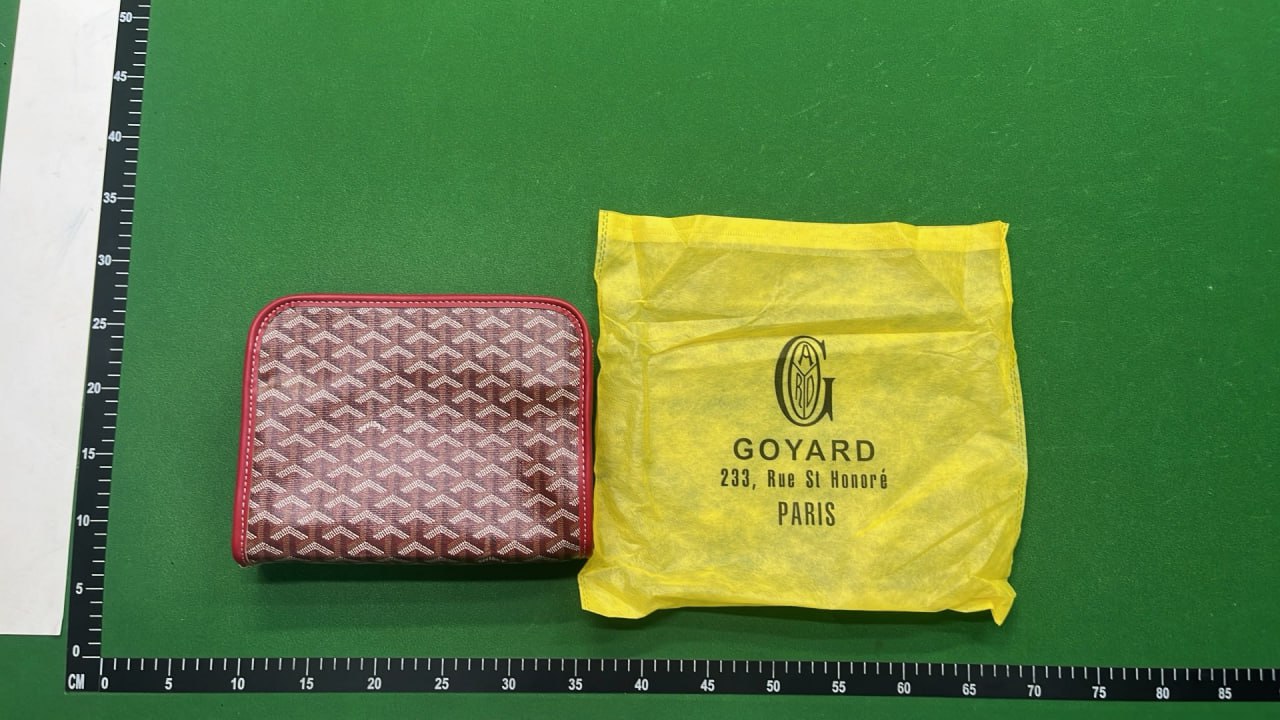 Goyard Toiletry Bag -4