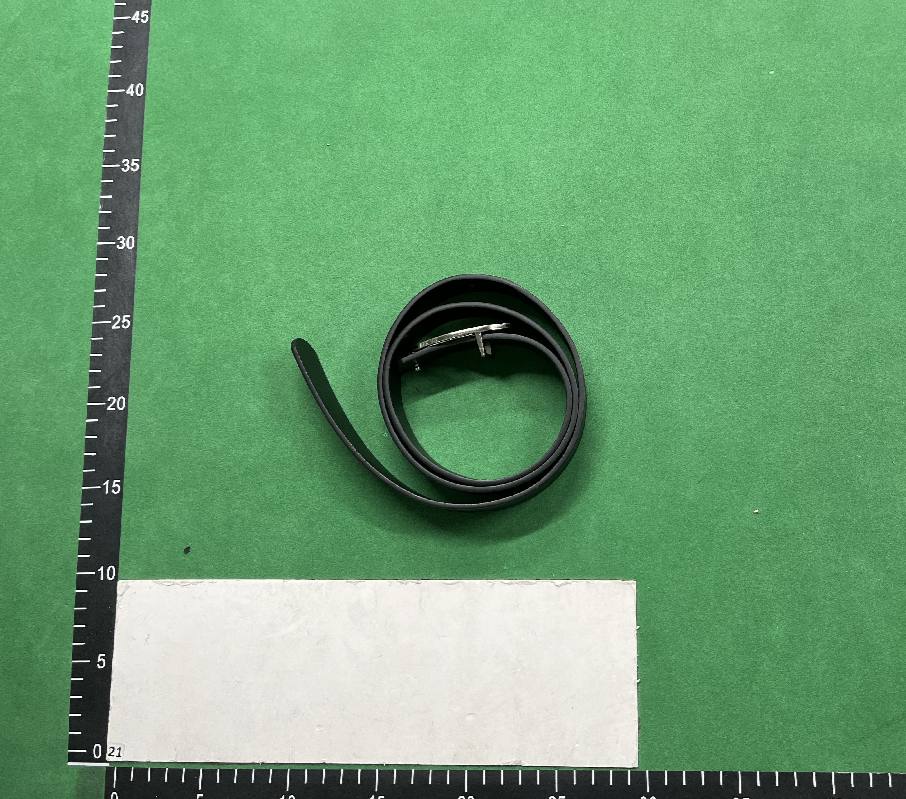 Diesel Belt -2