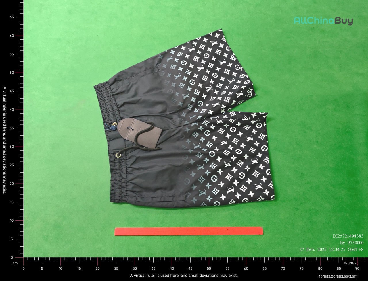 LV Shorts Beach Pants -4