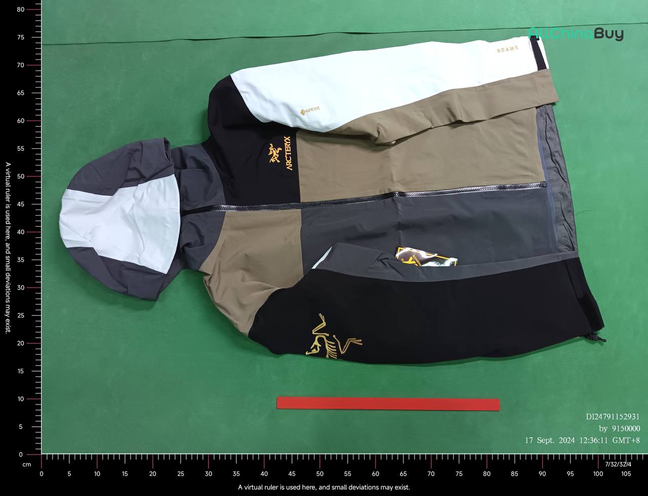 Arc'Teryx Beta LT -3
