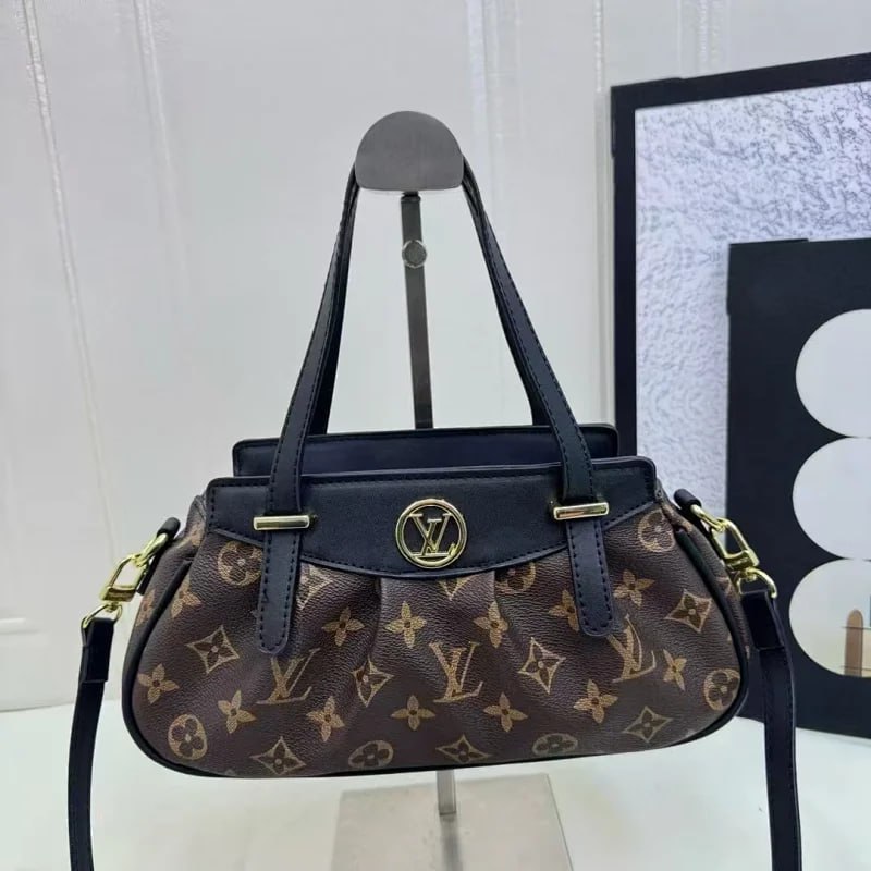  Louis Vuitton Bag Collection （30+） -3