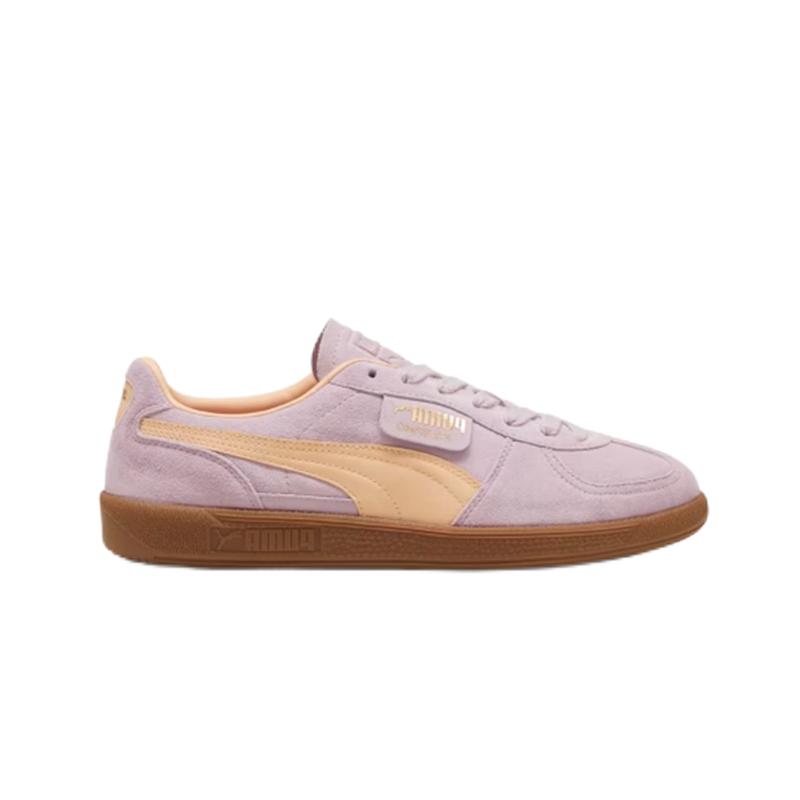 PUMA -2