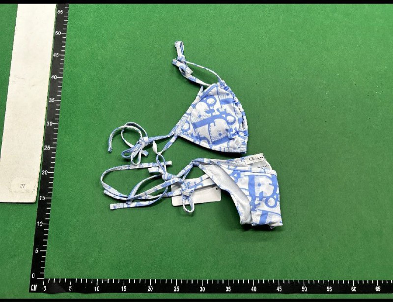 Fendi & Dior Swimsuit -2