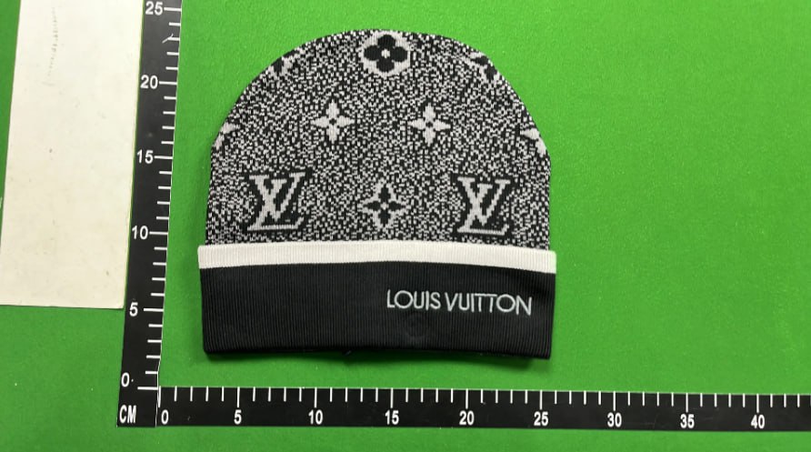 Louis Vuitton LV Ralph Lauren beanie（30+） -2