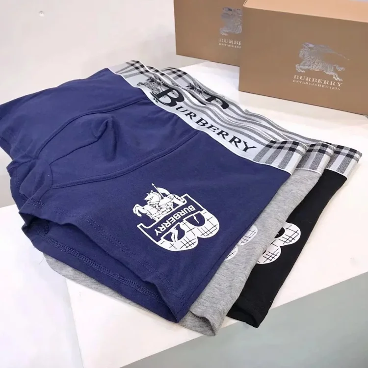 Burberry Check Logo Boxer Brie