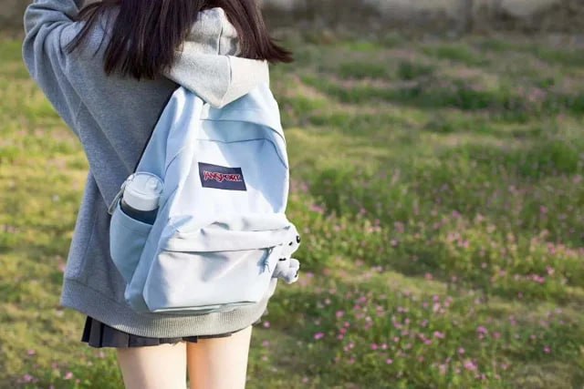 JANSPORT SuperBreak Backpack [29 styles] -4