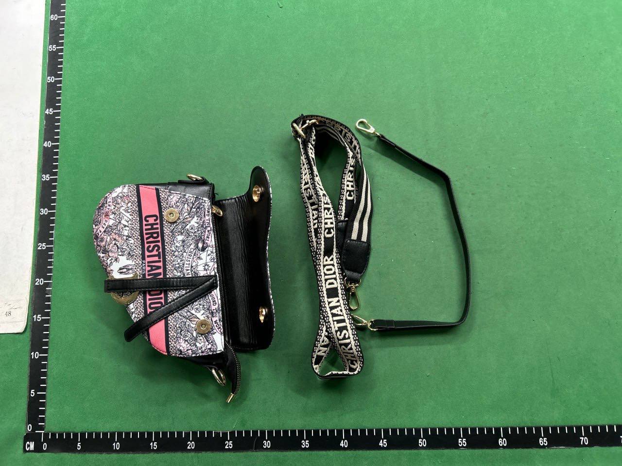 Dior Saddle Bag [40 styles] -3