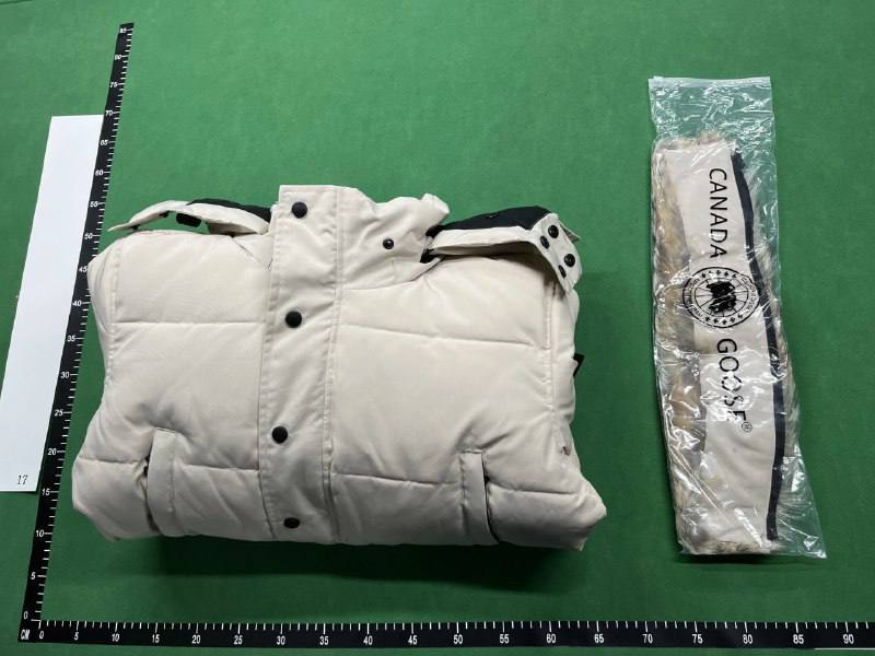 Canada Goose Down Jacket  -4