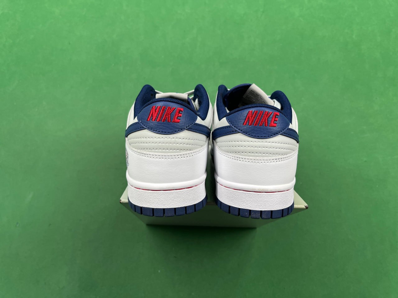 Nike Dunk Sneakers -4