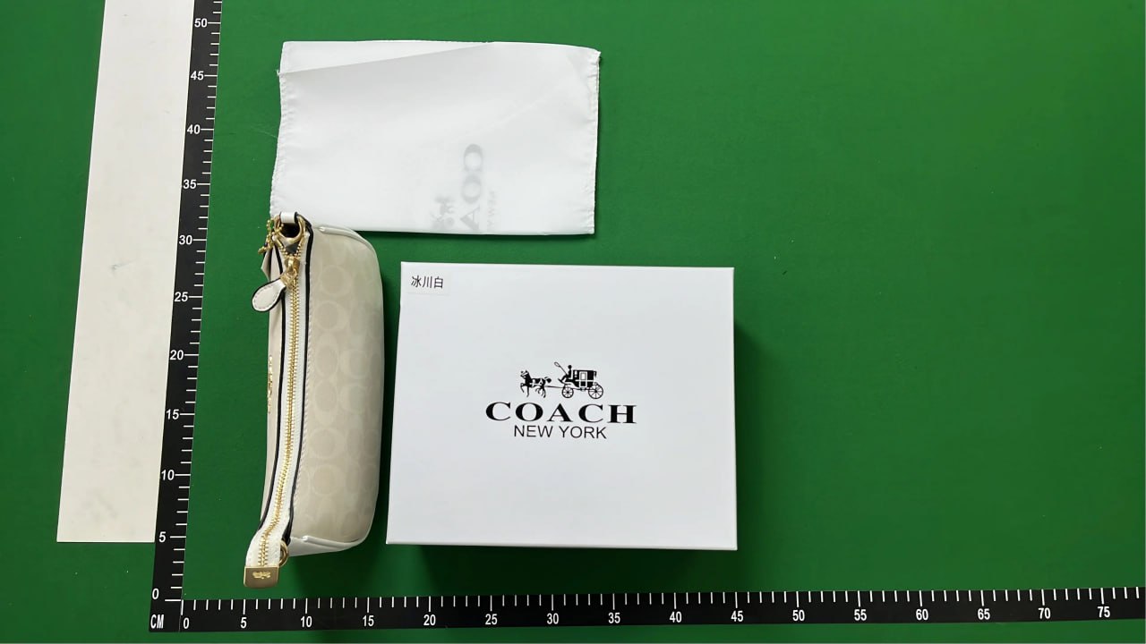 Coach Bag -2