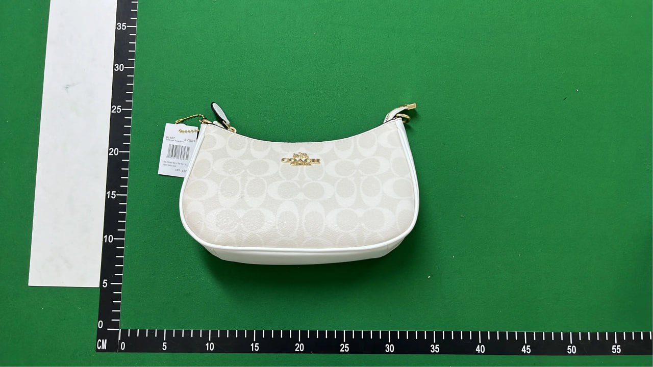 Coach Bag -3