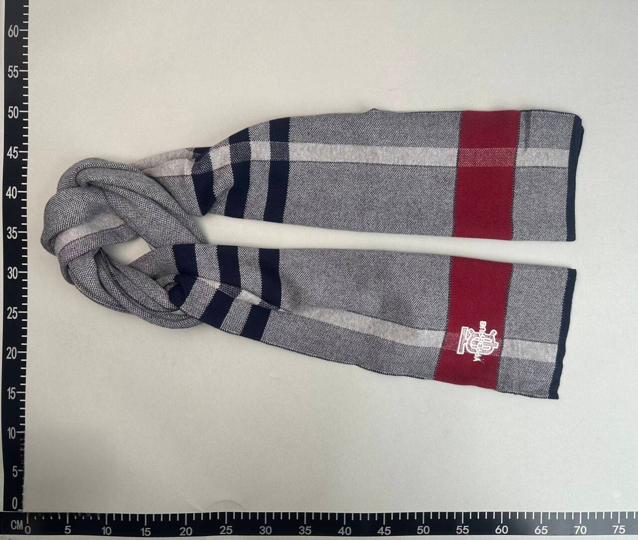 Burberry Scarf -3
