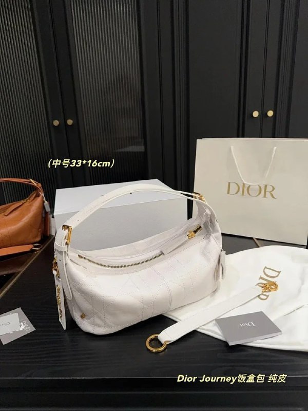 Dior bags -2