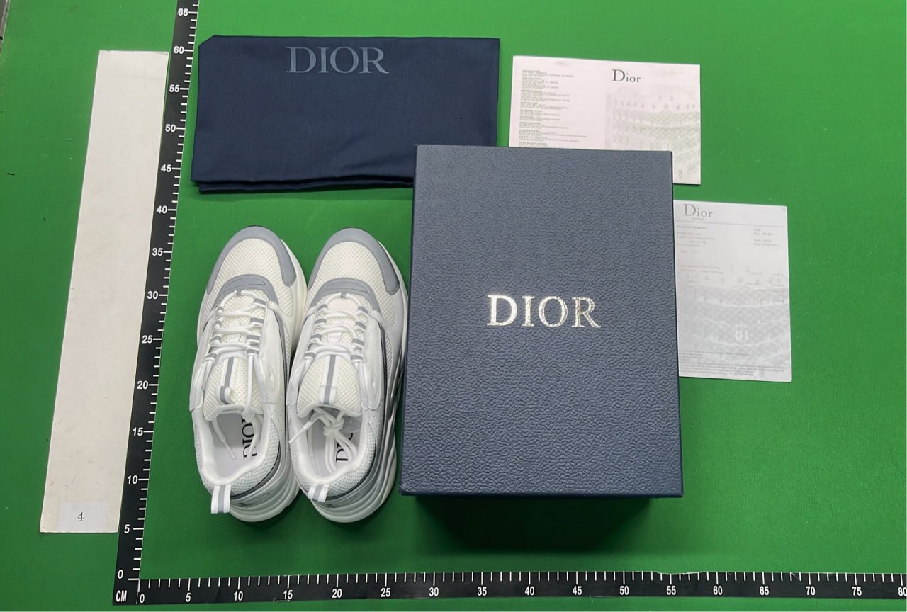 Dior B22 Shoes -2