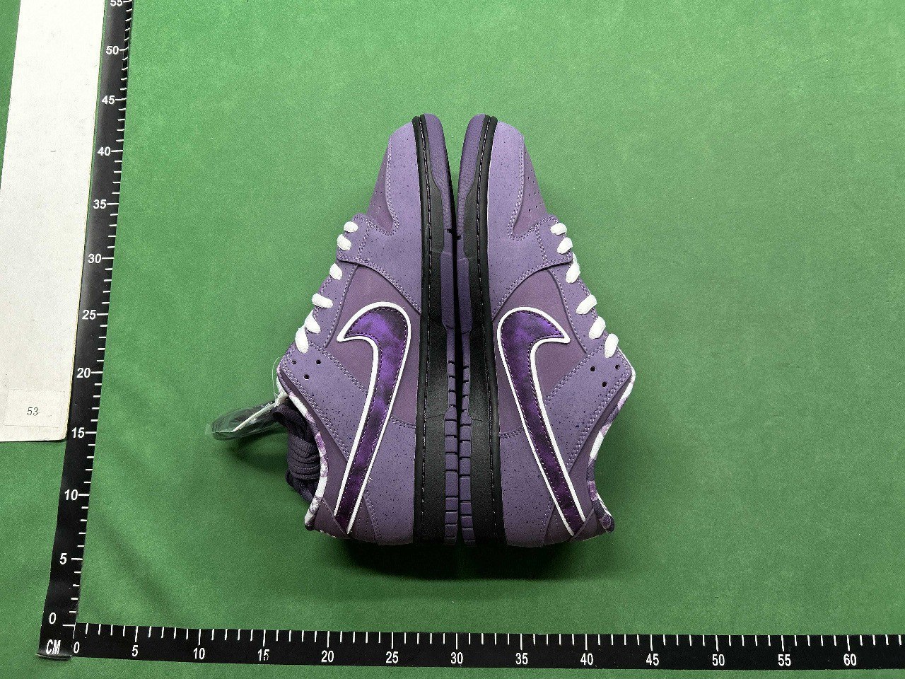 CONCEPTS x Nike Dunk -4