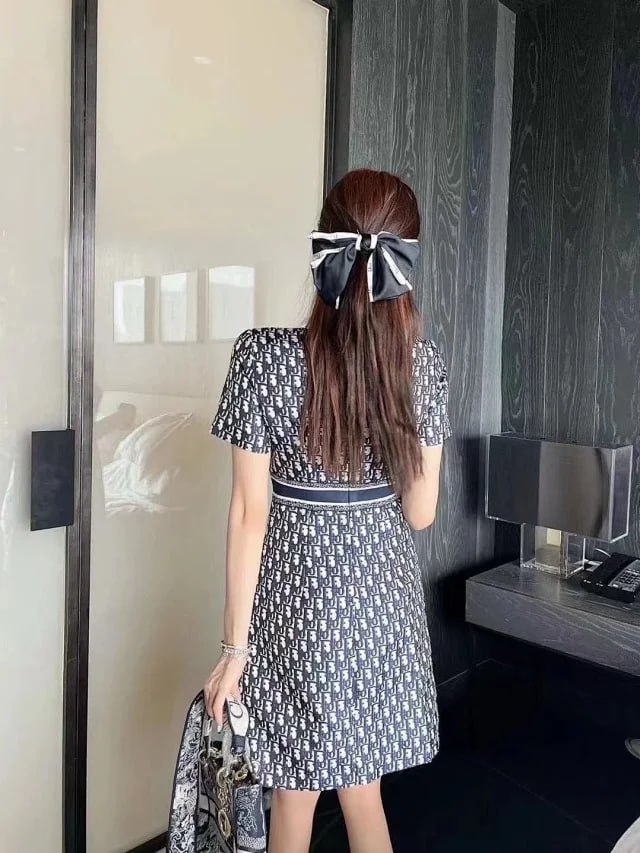 DIOR dress -3