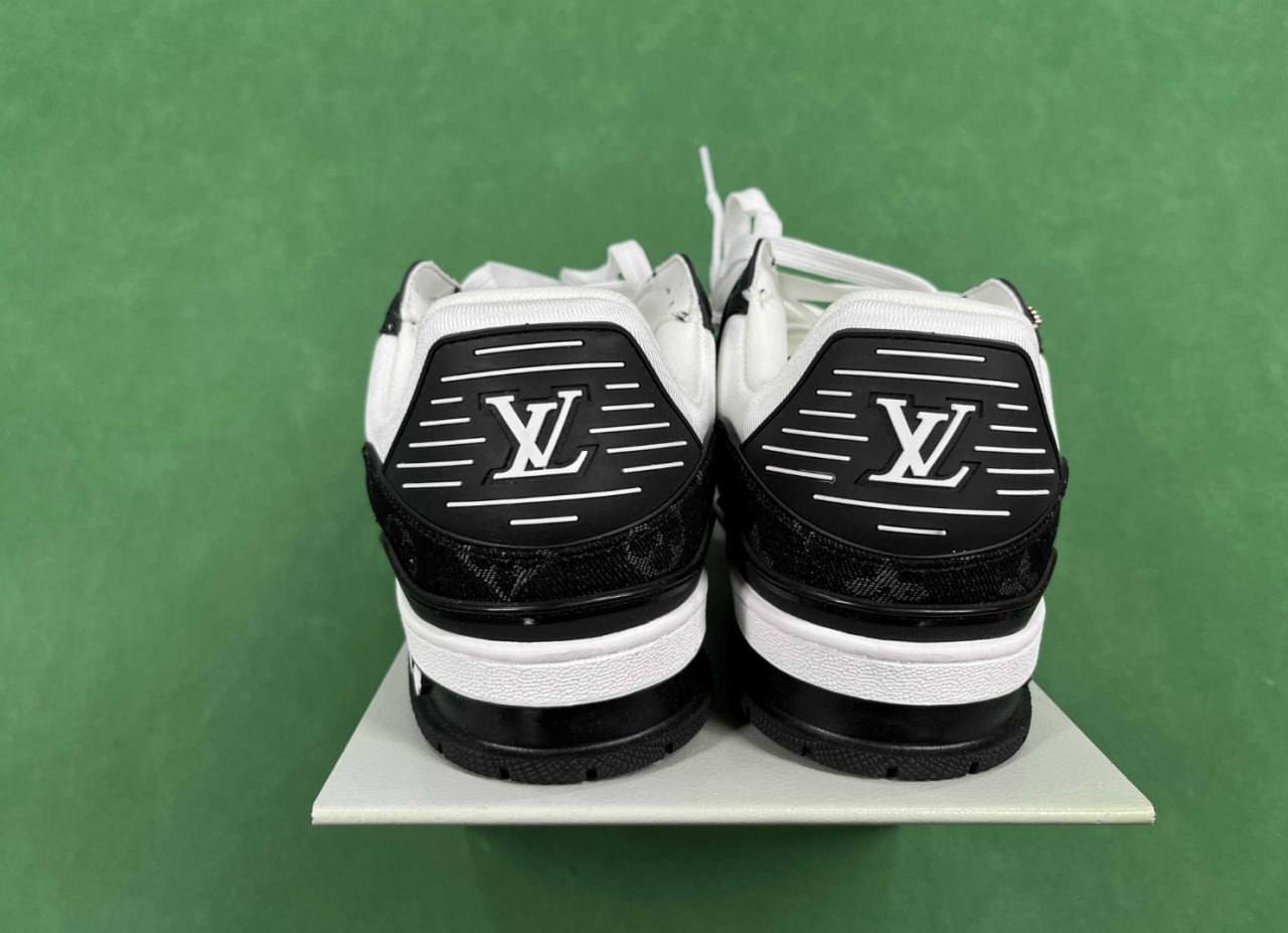 LV Skate & LV Trainer Shoes -3