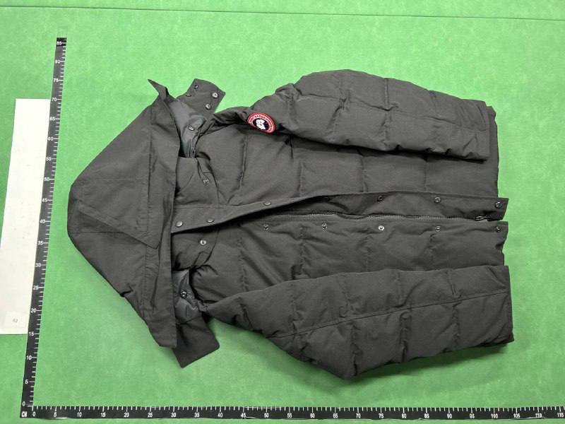 Canada Goose Down -2
