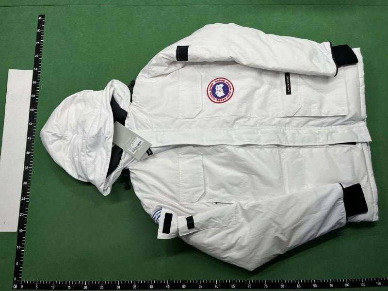 Canada Goose Down -3