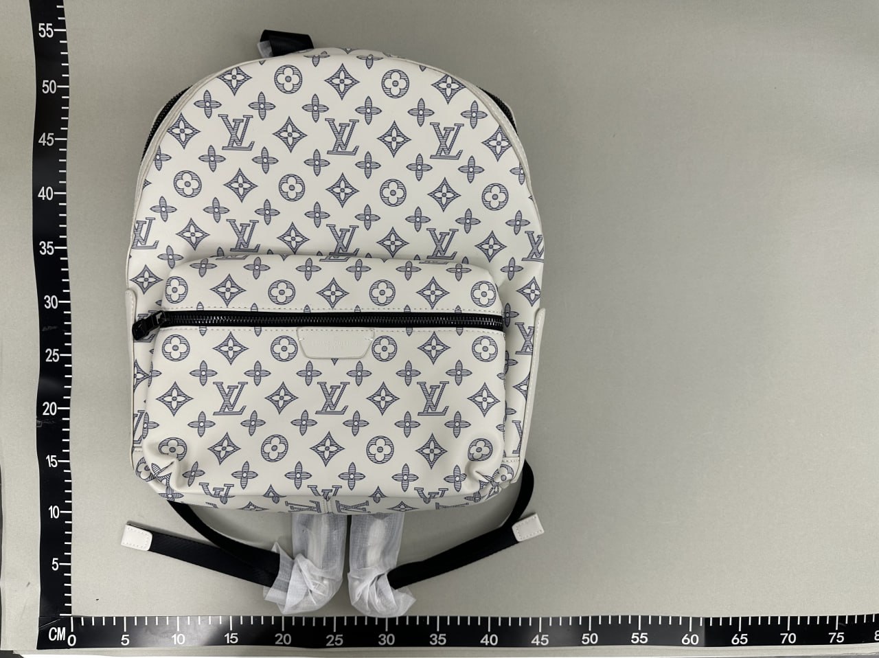 Louis Vuitton Backpack -3
