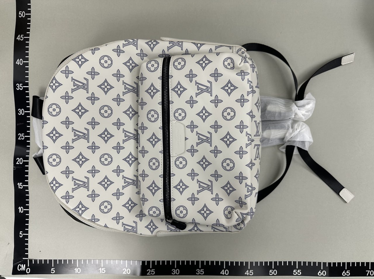 Louis Vuitton Backpack -2