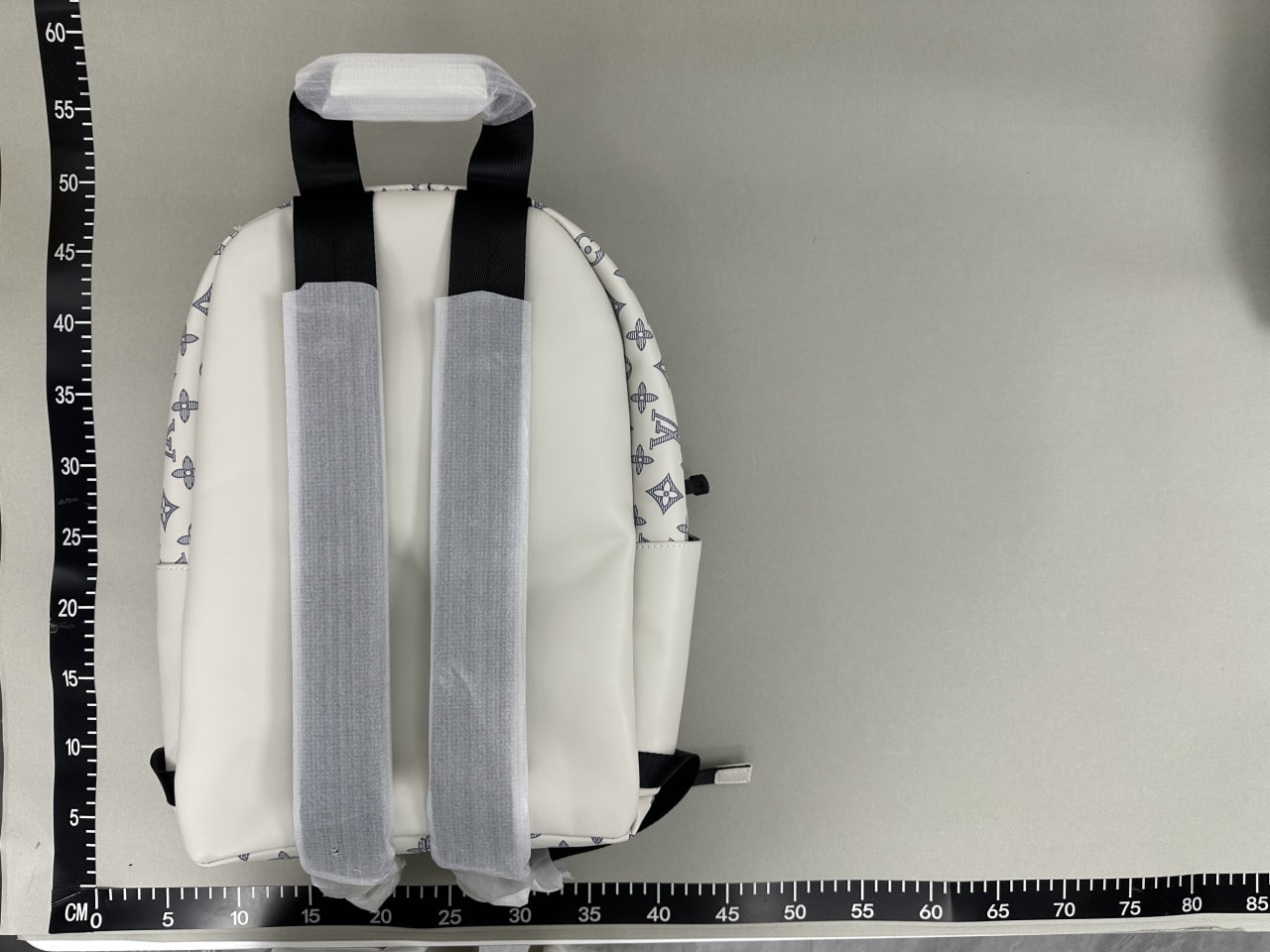 Louis Vuitton Backpack -4