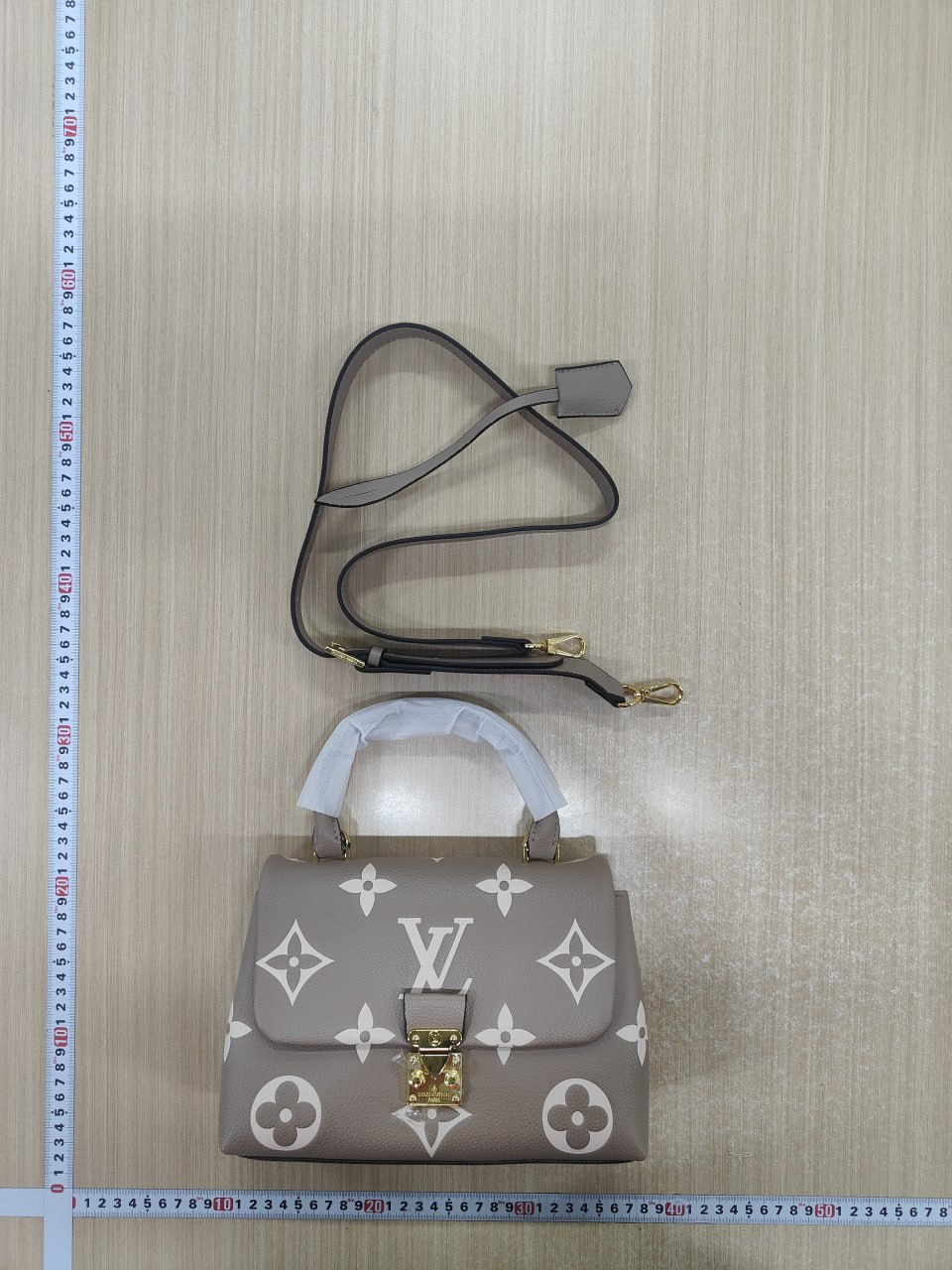 LV Bag -3