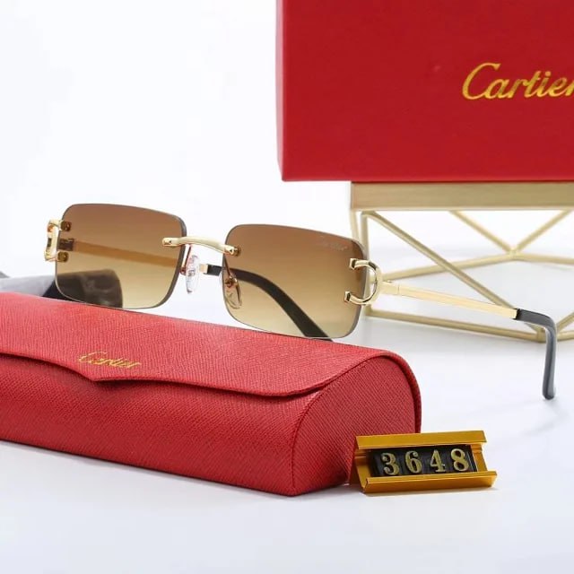 Cartier sunglasses -3
