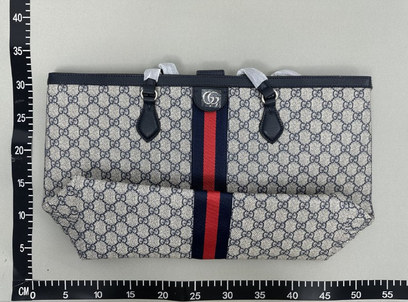 Gucci Bag -2
