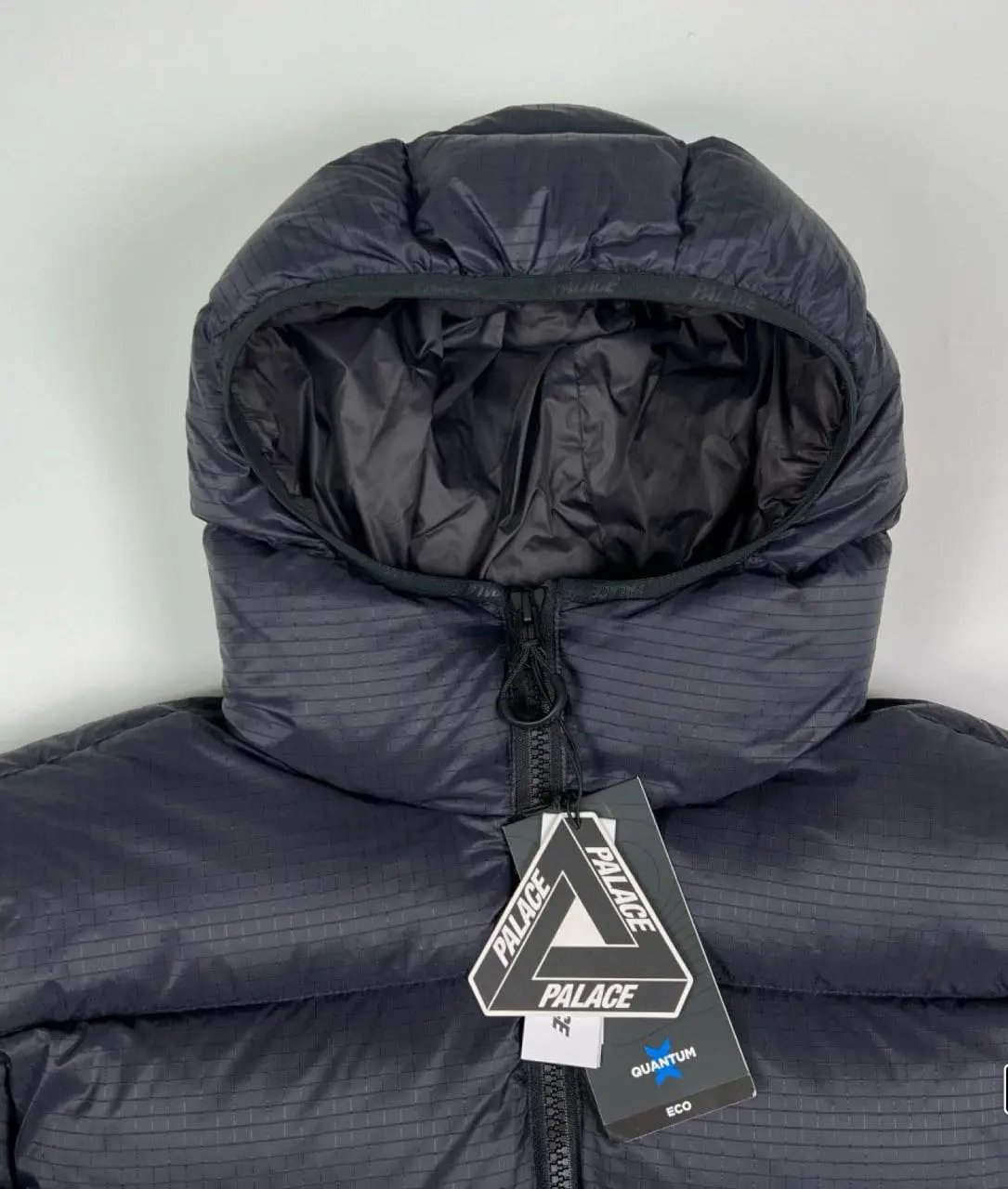 Palace Puffer -4