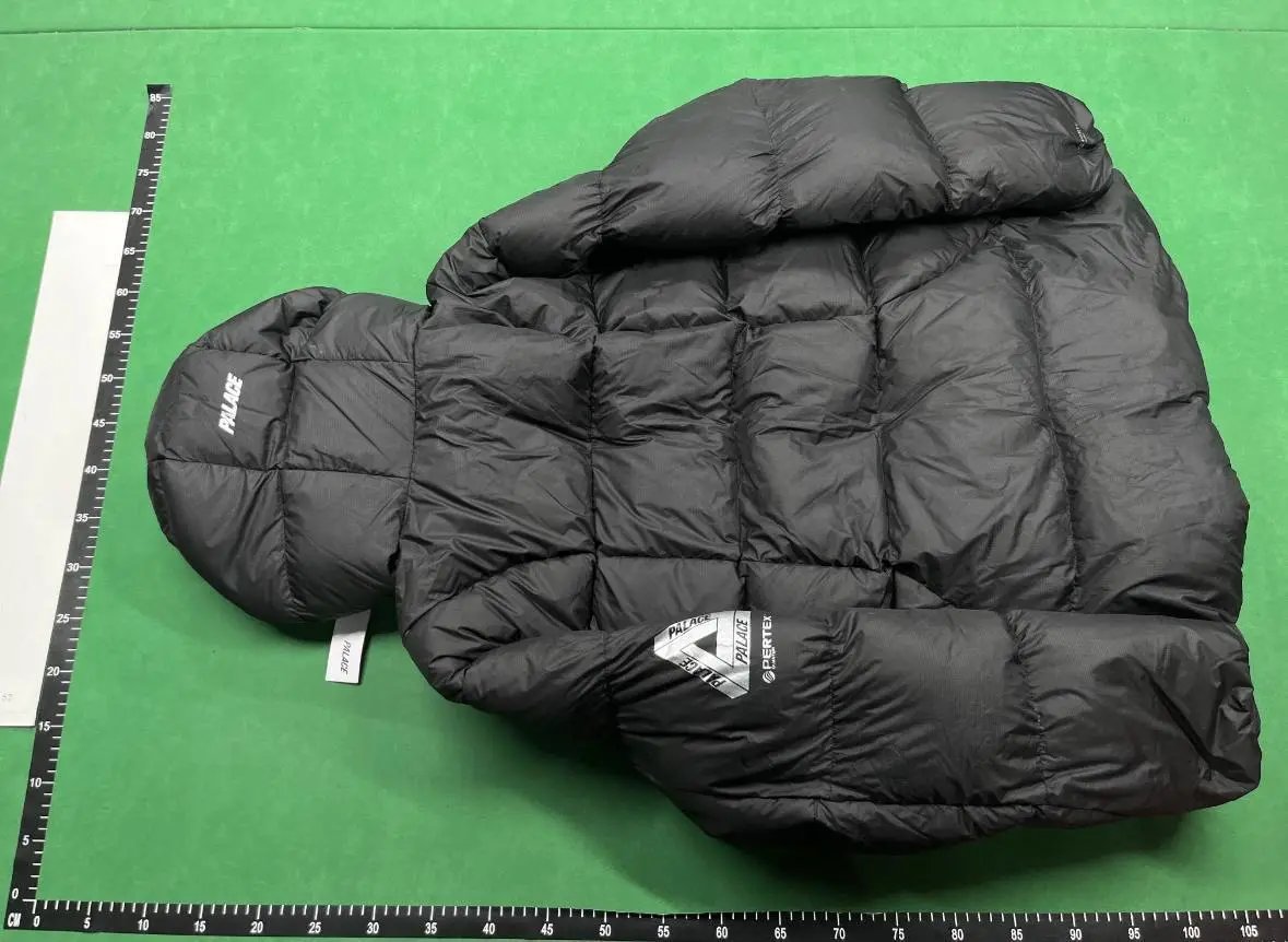 Palace Puffer -3