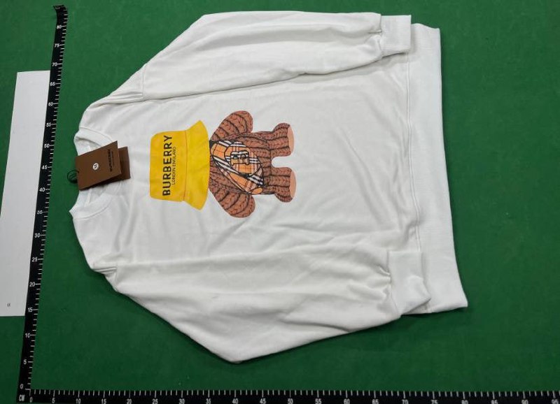  Burberry Hoodies [40 styles] -2