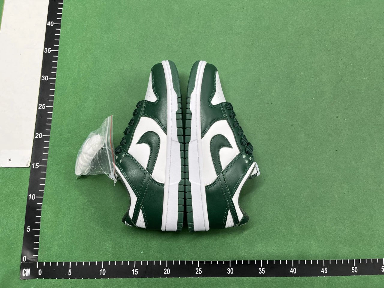 Nike Dunk shoes -2
